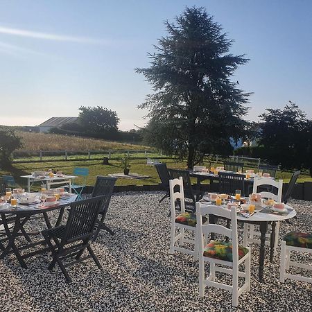 Bed and Breakfast La Veuzaine Onzain Exterior foto